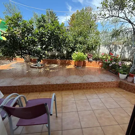 Grandmas 卡萨米尔